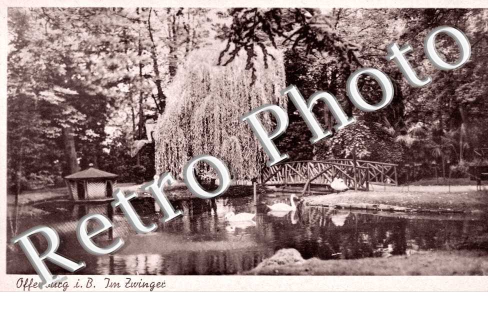 partie im Zwinger