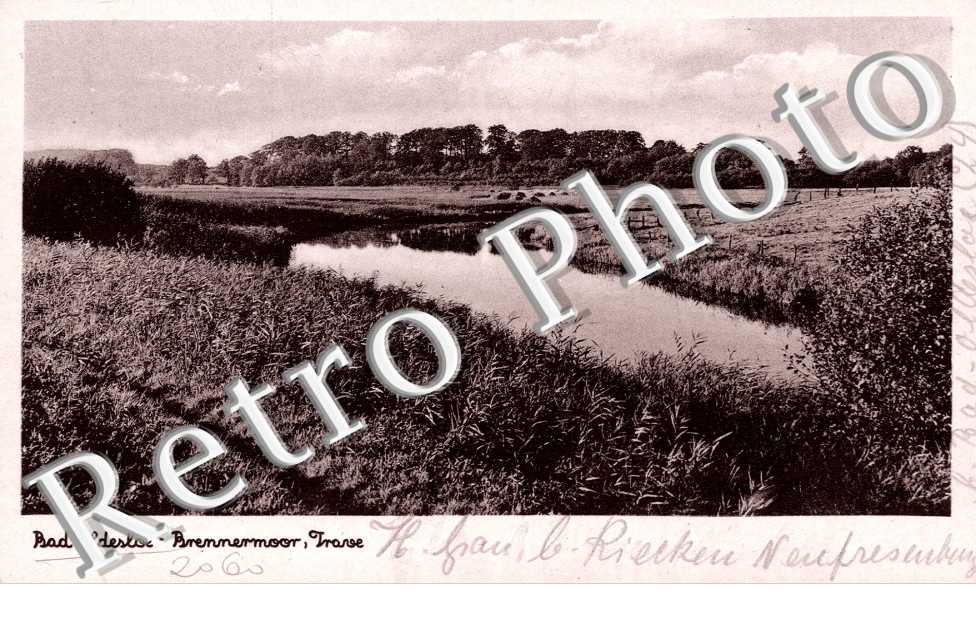Brennermoor, Trave