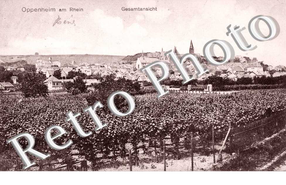 Gesamtansicht