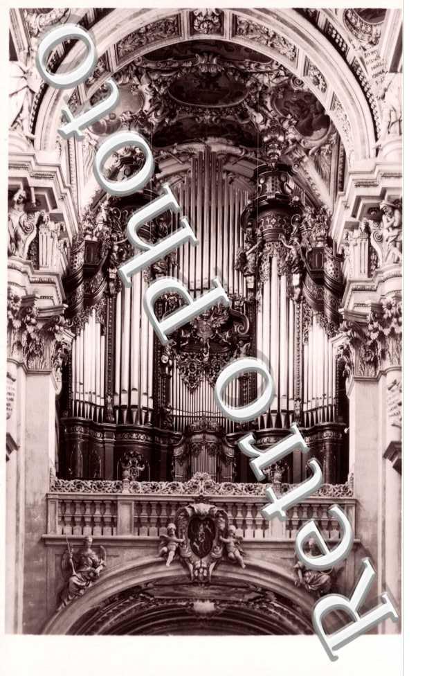 Domorgel
