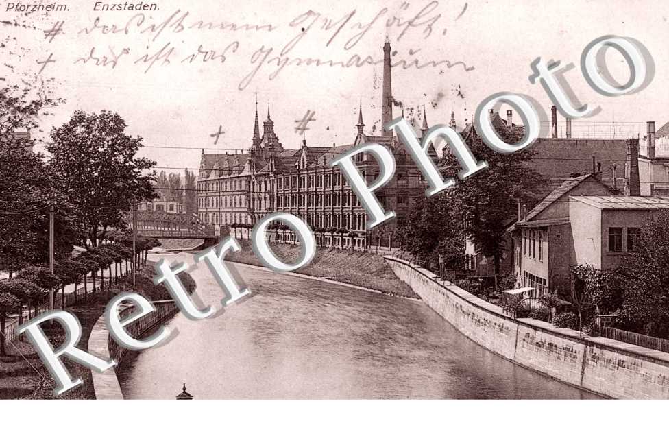 enzstaden