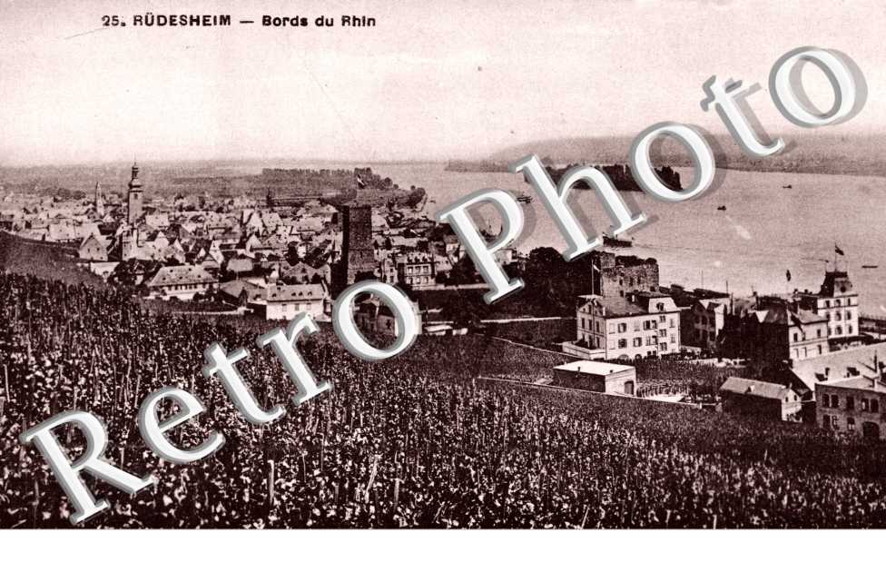 Bords du Rhin