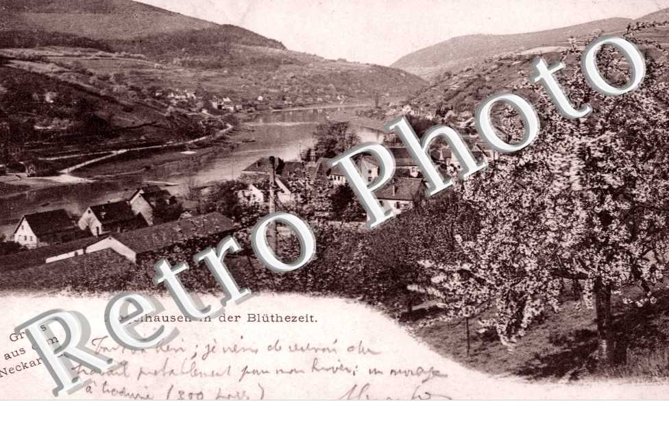 Ziegelhausen in der Bluthezeit