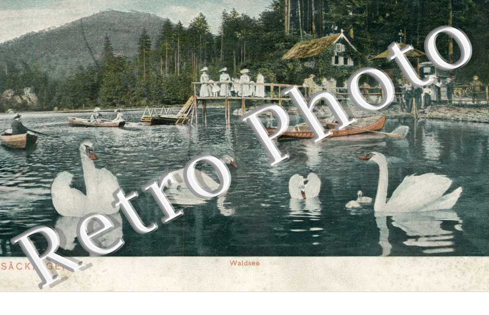 Waldsee