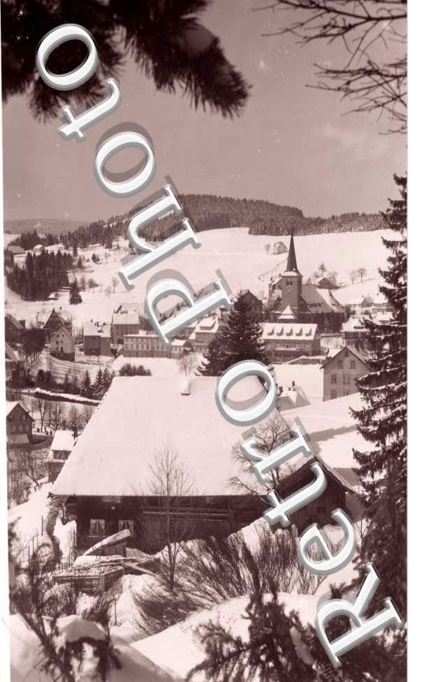 Vue generale sous le neige