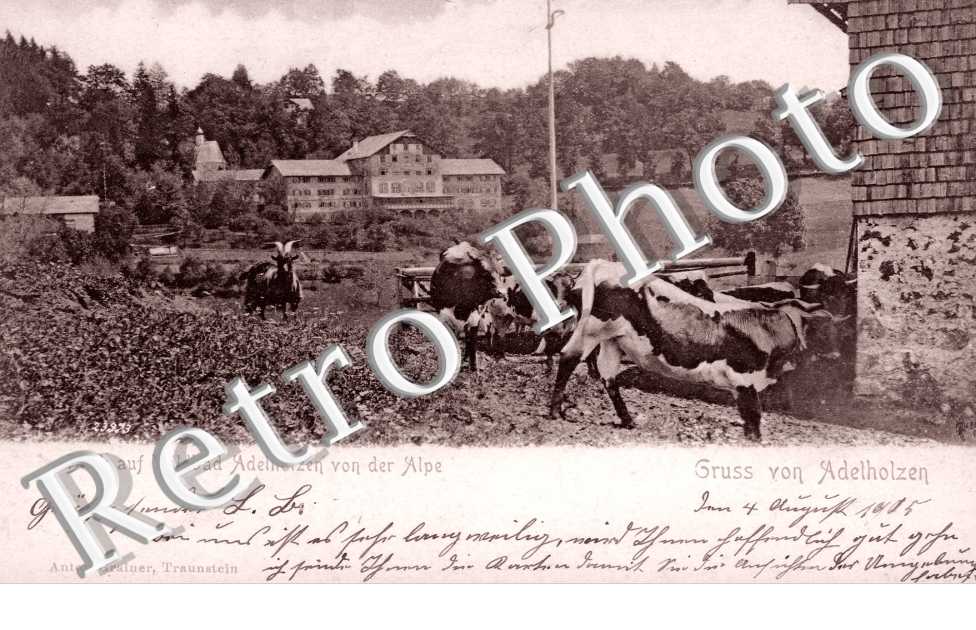 Adelholzen