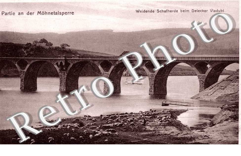 weidende schafherde beim Delecker Viadukt