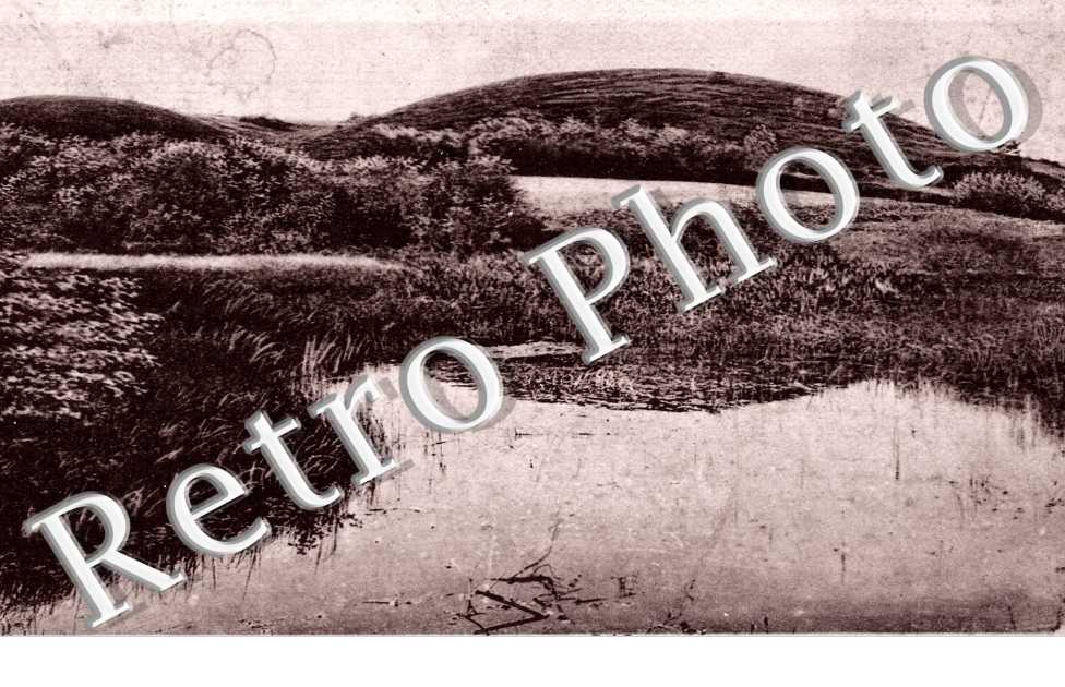Aus der Heide