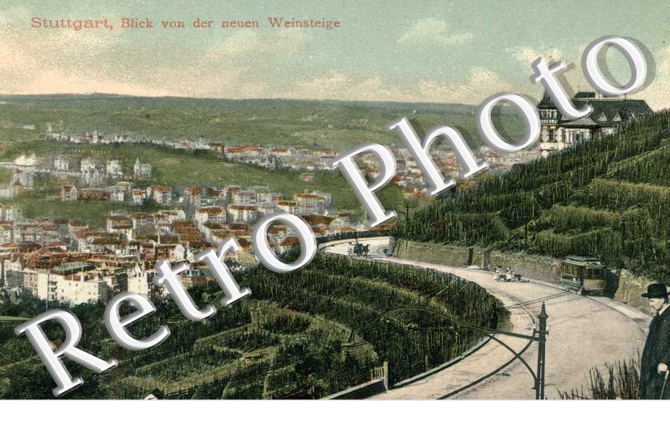 Blick von der neuen Weinsteige