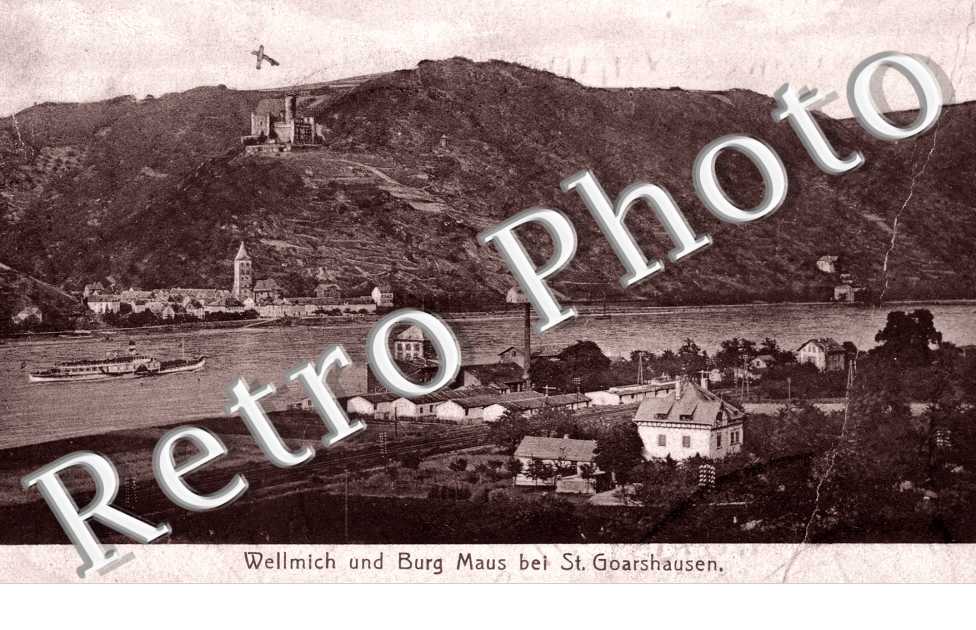 Wellmich und Burg Maus