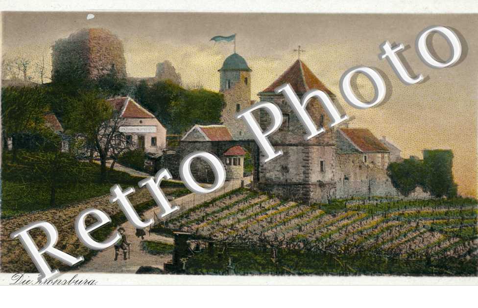 Die Kropsburg