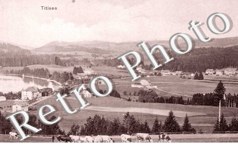 Vue d'ensemble