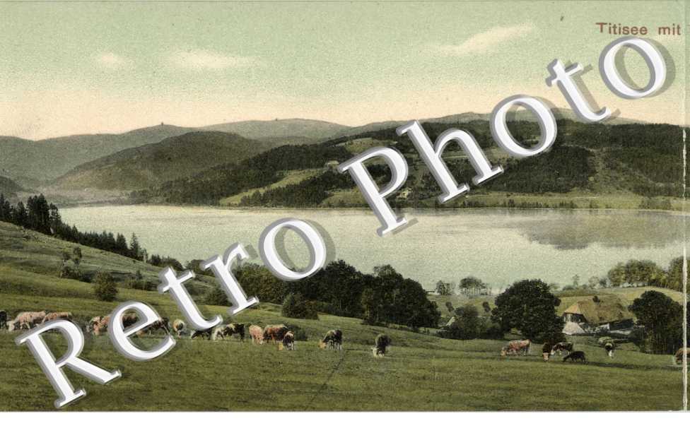 Titisee mit Feldberg