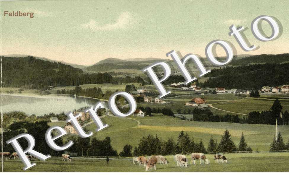 Titisee mit Feldberg