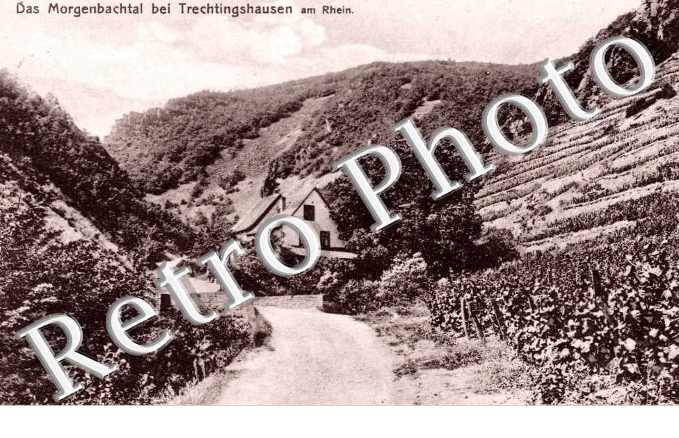 Das Morgenbachtal