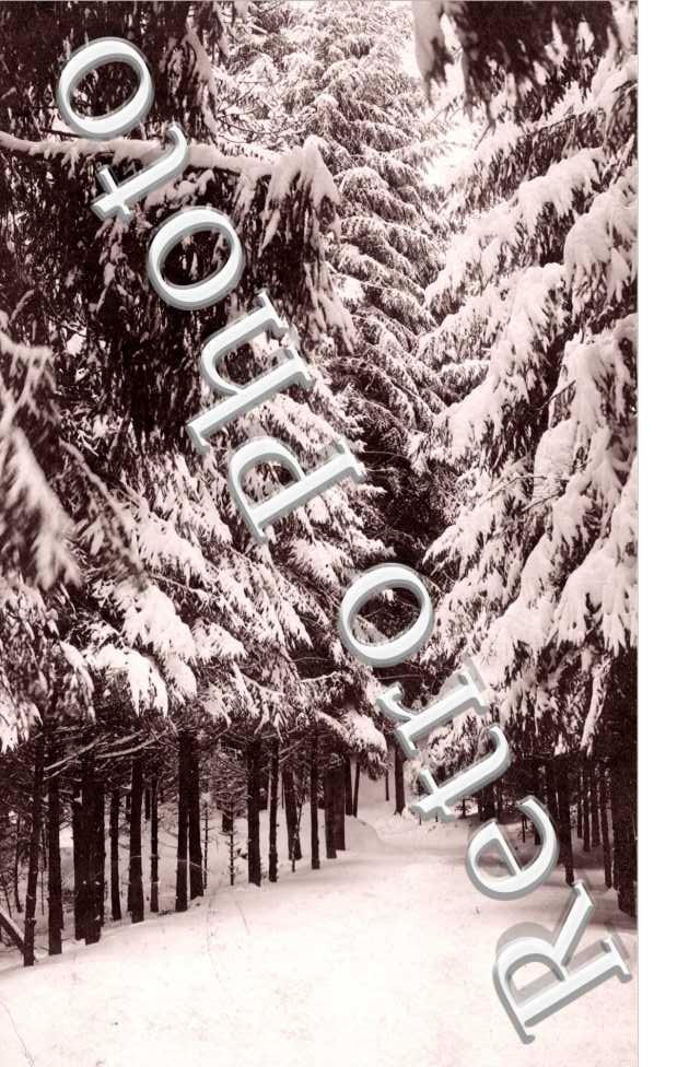paysage enneige en forêt