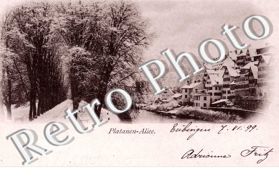 platanen - allee