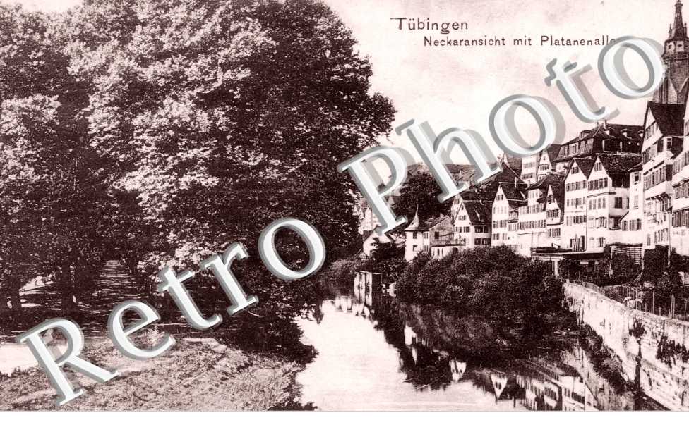 Neckaransicht mit Platanenallee
