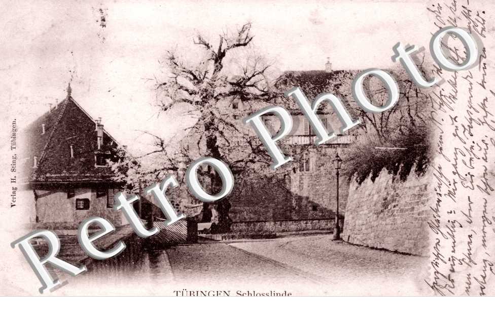 Schlosslinde
