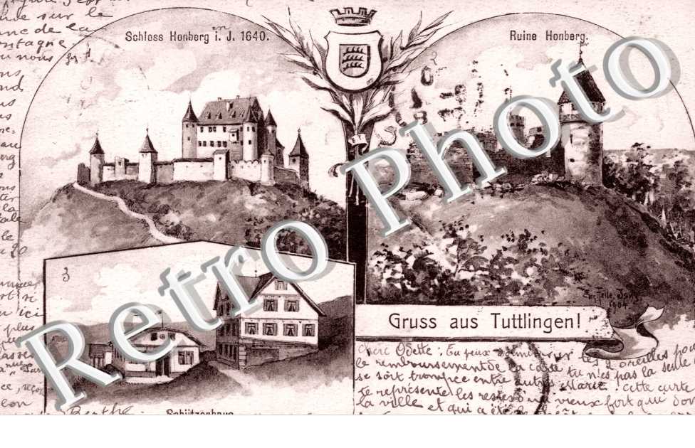 Schloss Ruine Honberg