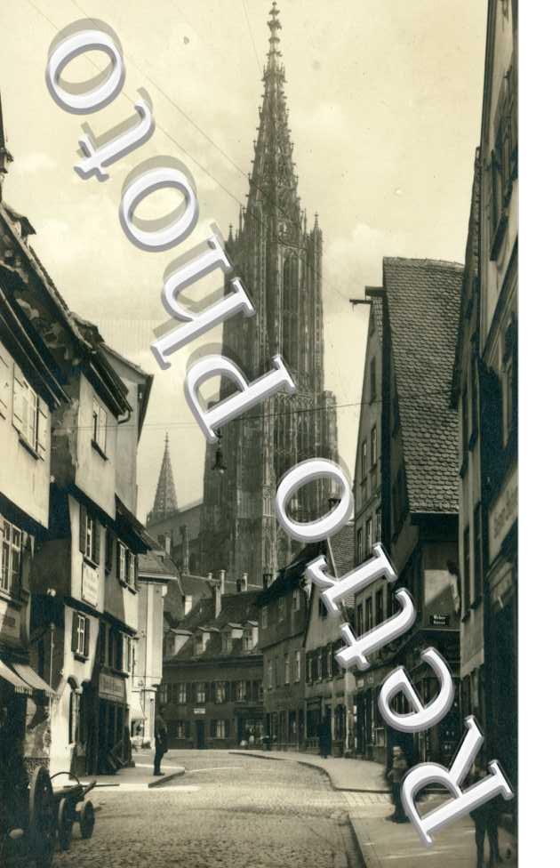Walfischgasse