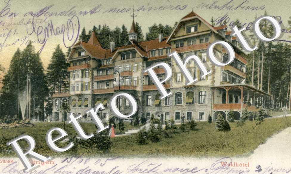 Villingen, Waldhotel