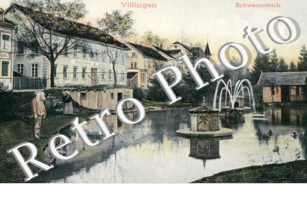 Villingen, Schwanenteich