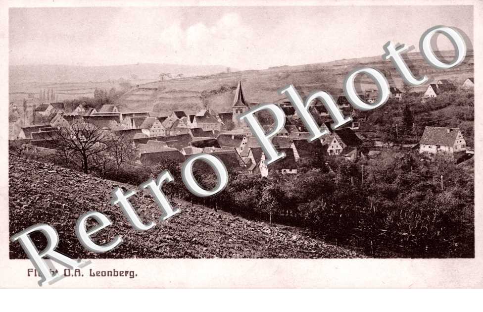 Flacht D.A. Leonberg