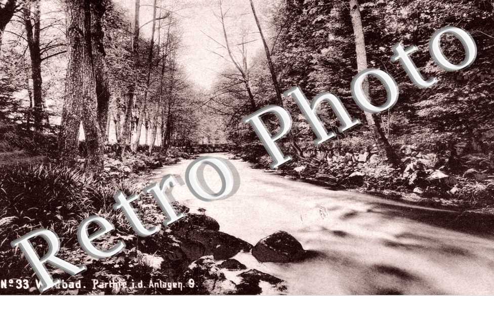 Parthie I.D. Antagen