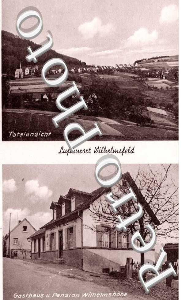 Totalansicht, Gasthaus u. Pension Wilhelmstrasse