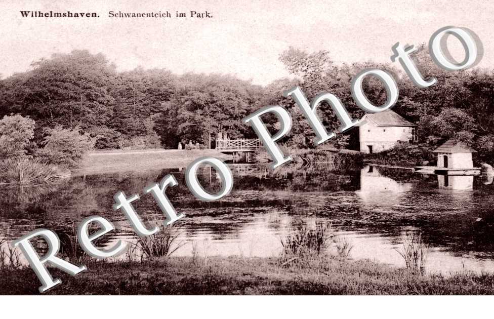 schwanenteich im park