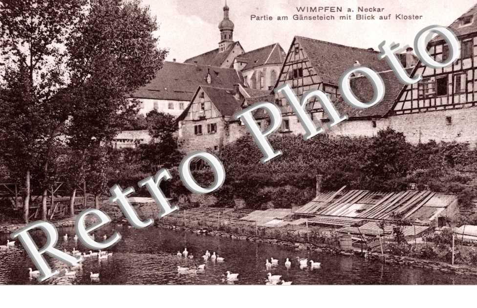 Partie am Ganseteich mit Blick auf Kloster