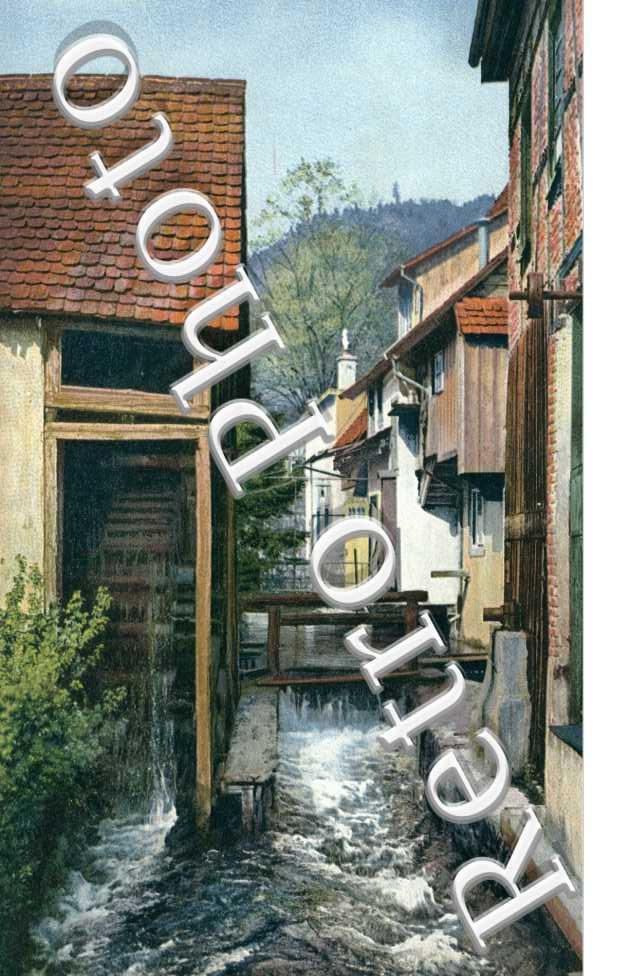 schwarzwald