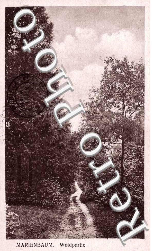 Marienbaum, Waldpartie