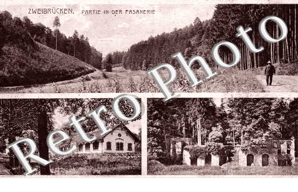 Partie in der Fasanerie, Restaurant Fasanerie, Ruine Stanislaus Leszinsky