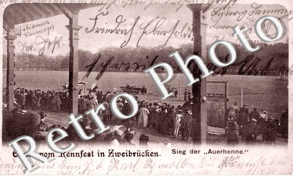  Sieg der AuerhenneGruss von Rennfest