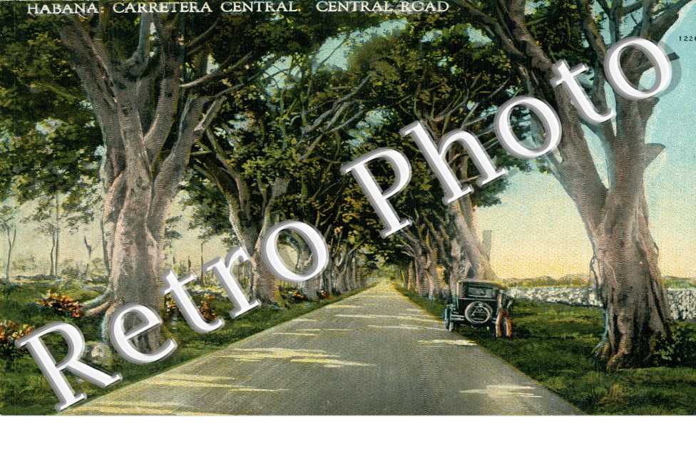 Carretera Central