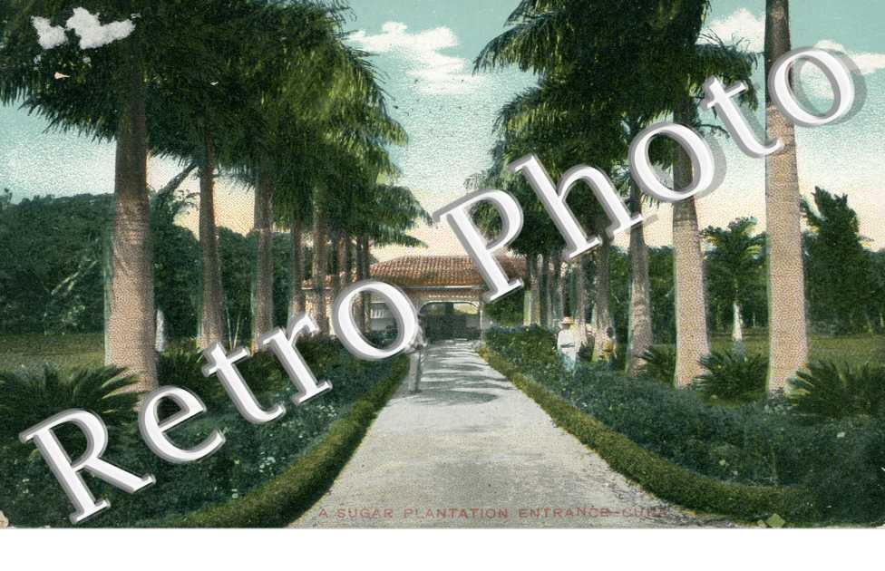 A Sugar Plantation Entrance
