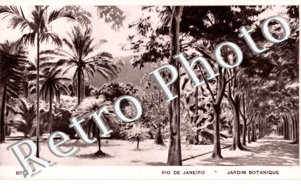 Jardin Botanique