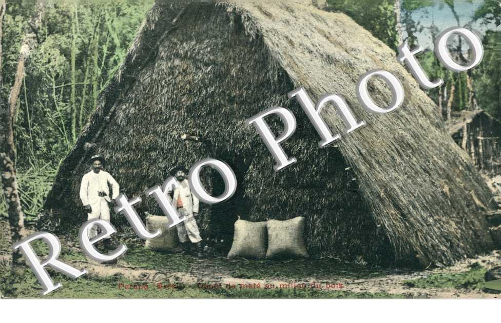 Parana, Depot de Mate au milieu du bois