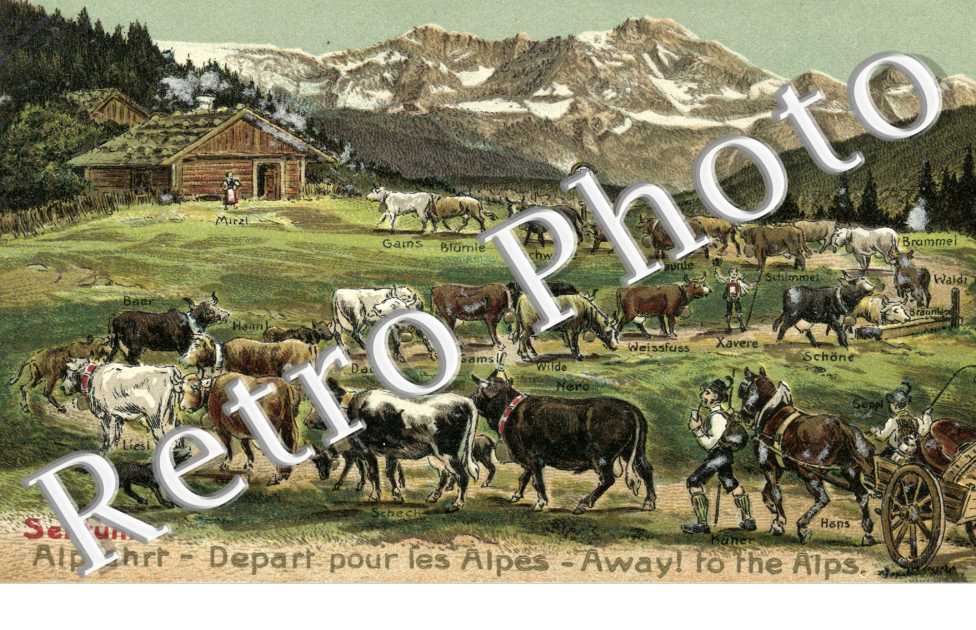 depart pour les Alpes