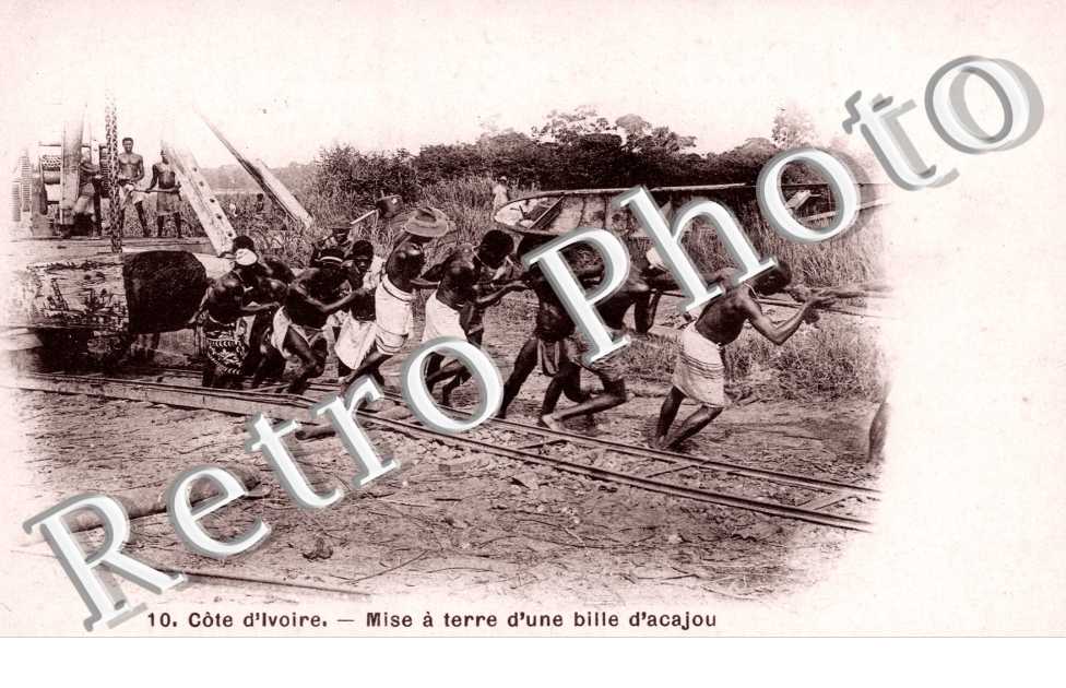 Mise a Terre d'une bille d'acajou