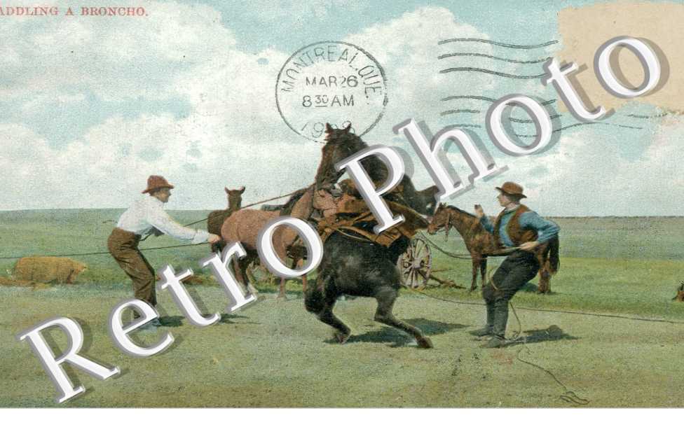 Saddling a Broncho