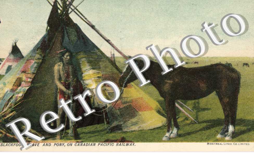 Blackfoot Brave and Pony