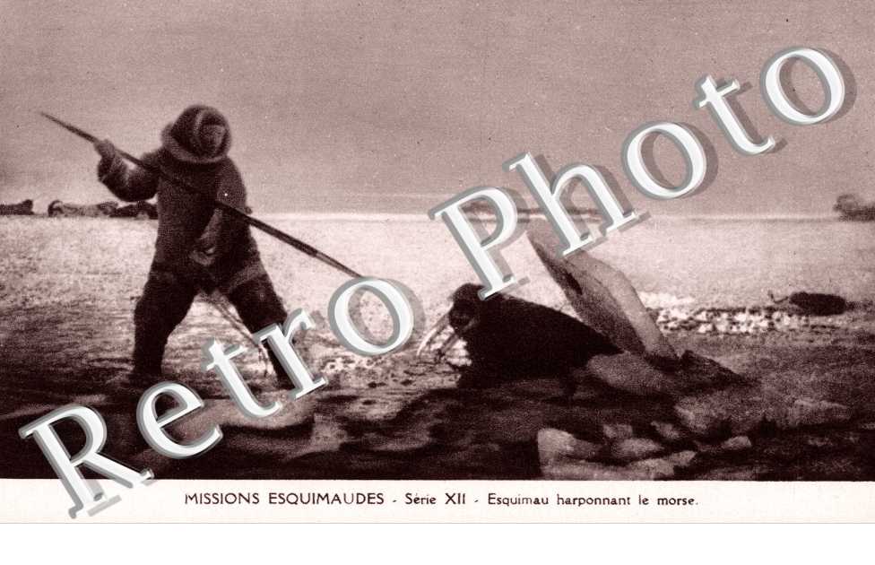 Esquimau harponnant le morse