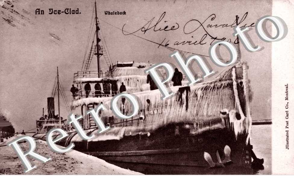an ice clad Whalebuck