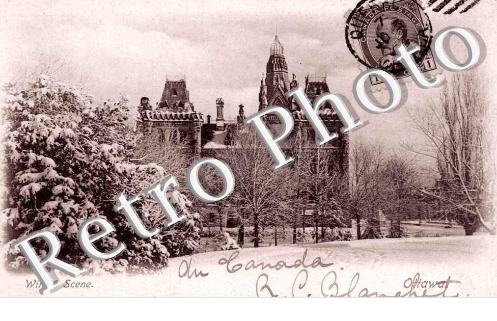 Winter Scene