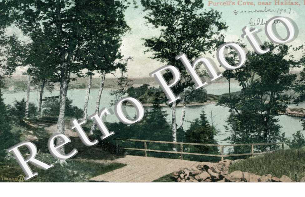 Purcell's Cove