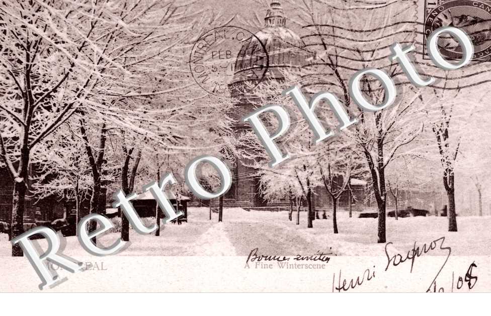 A fine Winterscene