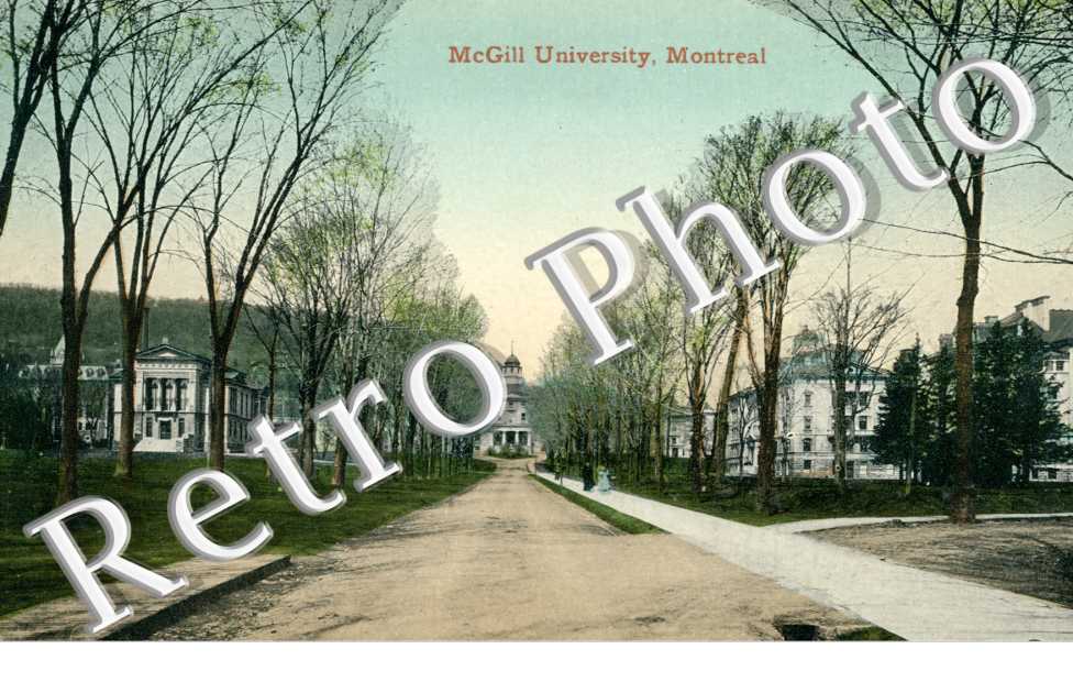 MgGill University